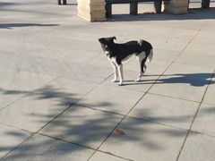 -今鲜源大酒店·中华餐饮名店(新湛路店)