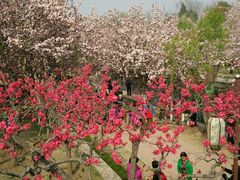 -金百万烤鸭店(马甸店)