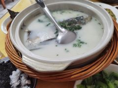 -天乐农家鱼头王(天目湖店)