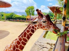 -杭州野生动物世界