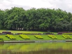 -东莞植物园