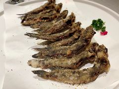 -得尔乐大酒店(南塘店)