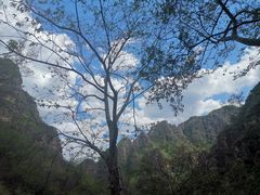 -孤山寨风景区