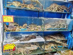 水产区-蚝专家(北滘店)