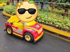 -南宫五洲植物乐园