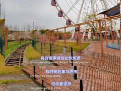 -顾村公园