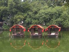 -侨美·唐荔园·40年地道粤菜