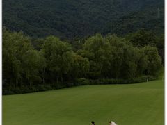 -聚焦旅拍(大理店)