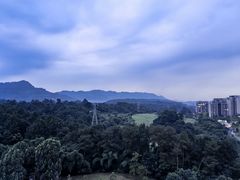 -成都蒲江花样年福朋喜来登度假酒店·宜客乐西餐厅