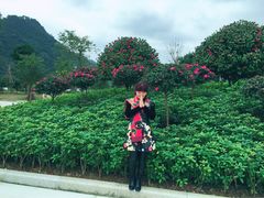 -维也纳国际酒店·佛山南海千灯湖桂城地铁站店