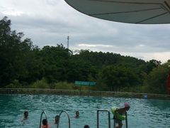 -南宁良凤江国家森林公园