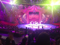 -珠海横琴长隆《卡卡虎奇遇记》