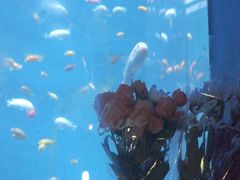 -欢乐海岸海洋奇梦馆
