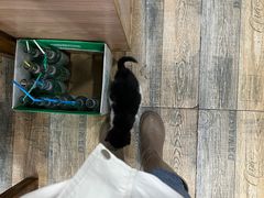 -八风爆肚面(海亮新英里店)