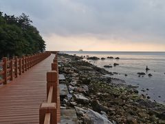 -养马岛旅游度假区