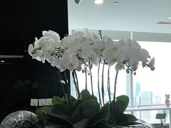 -马泷齿科·成都锦江置略马泷口腔门诊部(IFS国金中心店)