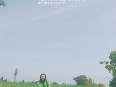 -白鹭湾湿地公园