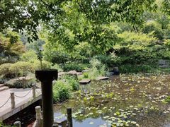 -杭州半山国家森林公园