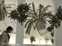 -春树下·树屋花房西餐厅(罍街AS1980店)