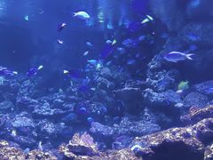 -南昌融创海世界