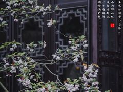 -留园