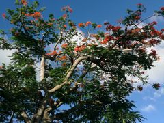 -北马里亚纳群岛博物馆