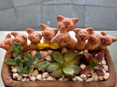 -WHEN PIGS FLY当猪飞