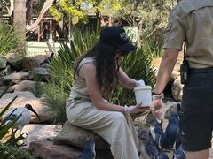 -费瑟代尔野生动物园