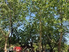 -静之湖湖畔餐厅