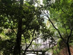 -广州市白云山风景名胜区