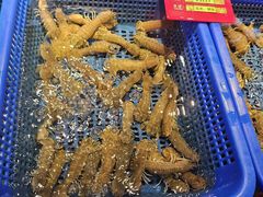 -驻海渔市(置信店)