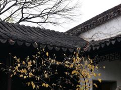 -拙政园