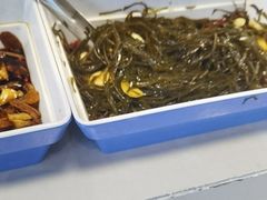 -蒙都43°9羊火锅·赤峰美食(宁城店)