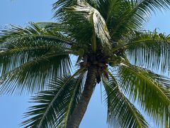 -三亚龙兴莱曼海景度假酒店