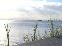 -芒洲湿地公园