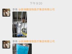 -宠福鑫康馨动物医院·骨科·眼科