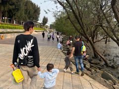 -宝安西湾红树林湿地公园