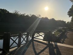 -上海海湾国家森林公园