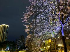 -红星桥(地铁站)