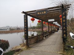 -东山香樟园