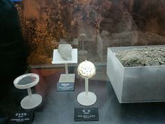 -河姆渡遗址博物馆