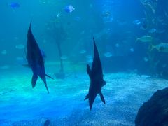 -常州海昌海洋探索馆