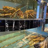 念念不忘的海鲜火锅🦞一回深圳马上来吃