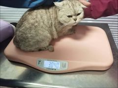 -瑞派福兴宠物医院犬猫全科·骨科·中西医结合(河东店)