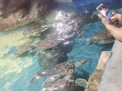 -邯郸海洋世界