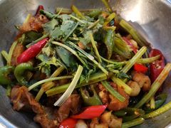 -云中小雅