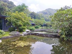 -云溪植物园
