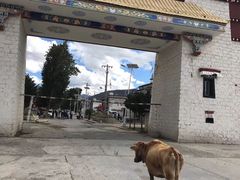 -松赞干布出生地