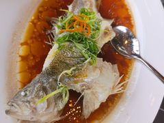 广式清蒸鲈鱼-杭州临平万丽酒店·万丽轩中餐厅