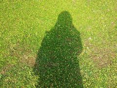 -1点点(龙湖金楠天街店)